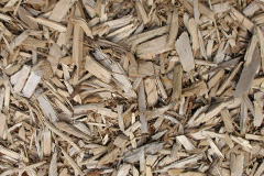 biomass boilers Tillietudlem